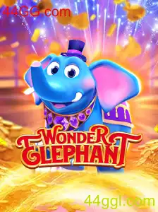 Descubra o Mundo Envolvente de WonderElephant: Guia Completo e Regras do Jogo